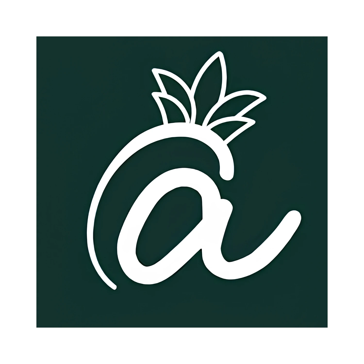 Frutería Ananás